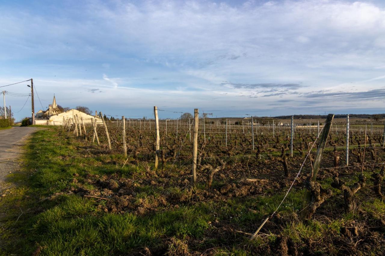 Maison Chaleureuse-Grand Jardin-Proche Saumur Parnay Dış mekan fotoğraf